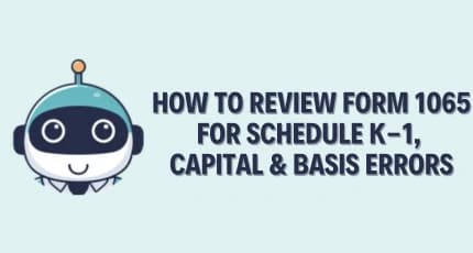 Form 1065 Review & Errors